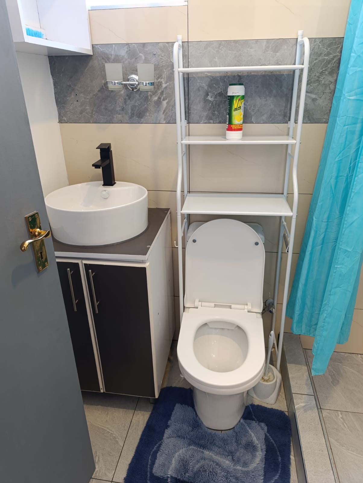 Guest bathroom toilet and sink